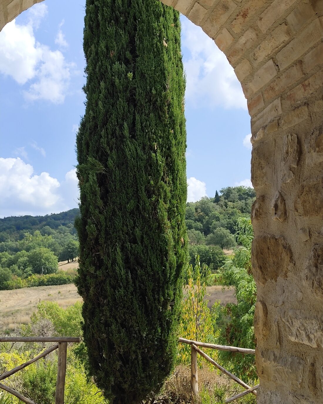 A cypress framed by a stone arch