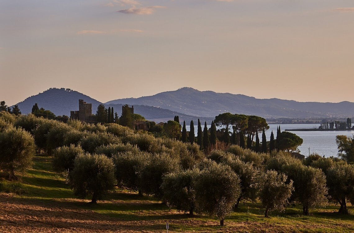 Lake Trasimeno seen from the Umbrian shore
