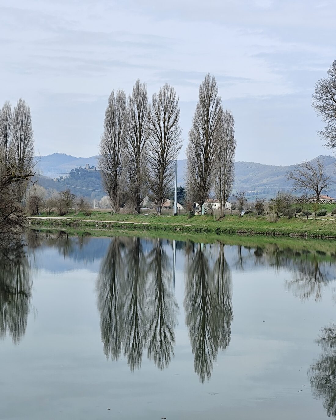 Poplars reflected in the water on the shore of Lake Trasimeno